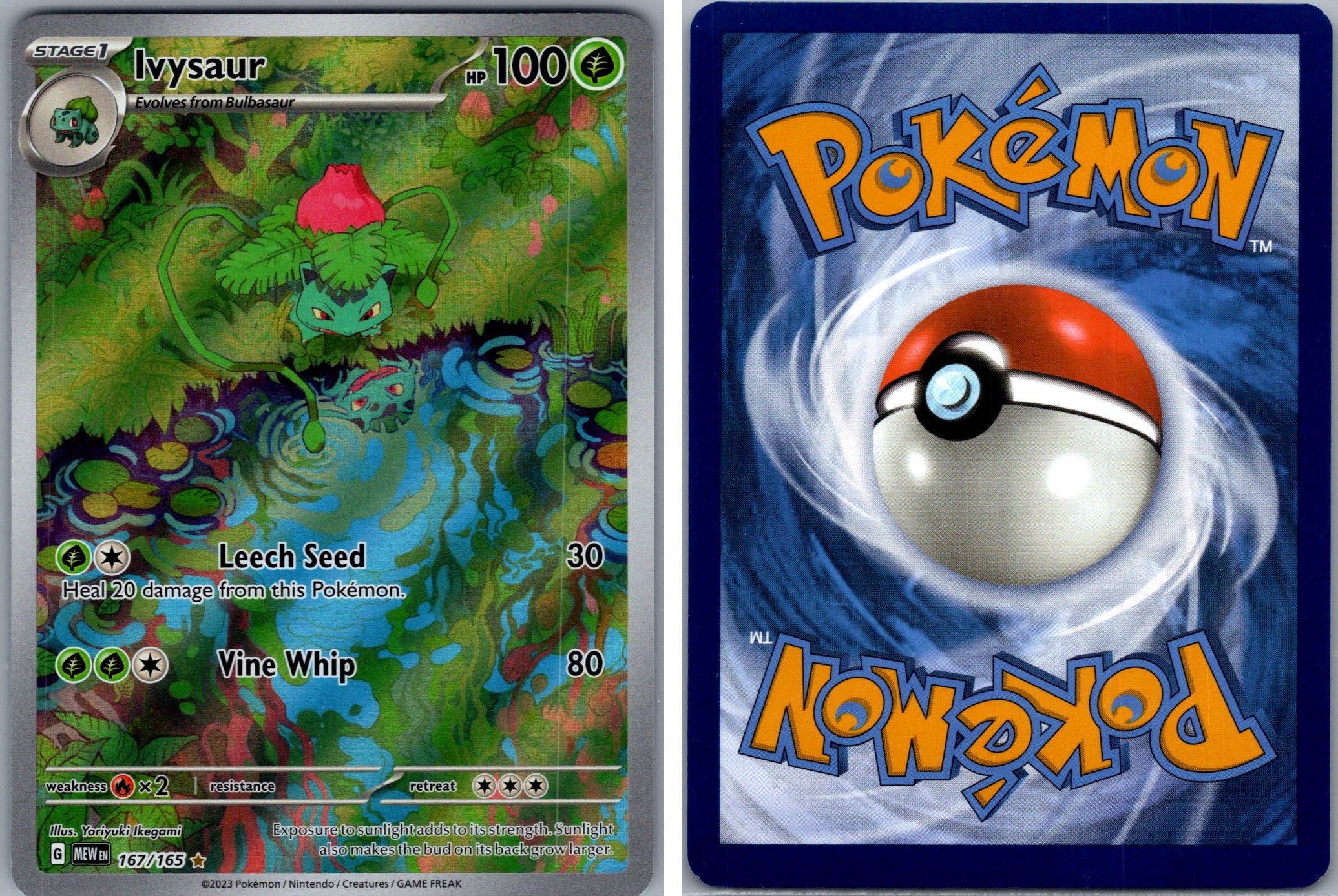 Front + Back scan