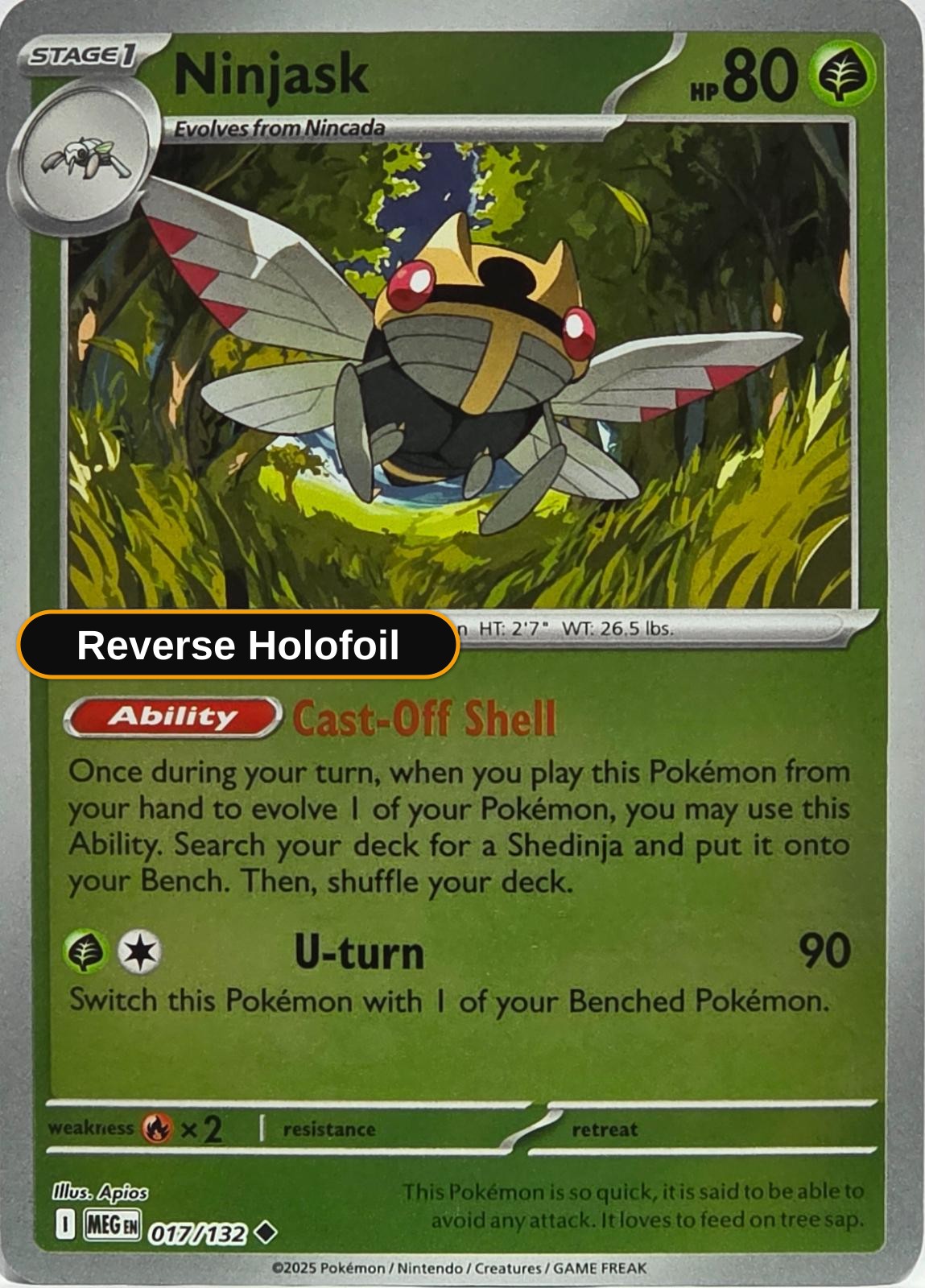 Ninjask - 017/132