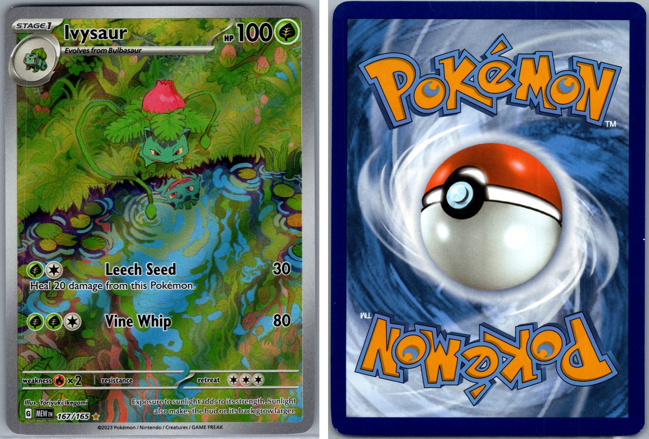 Front + Back scan