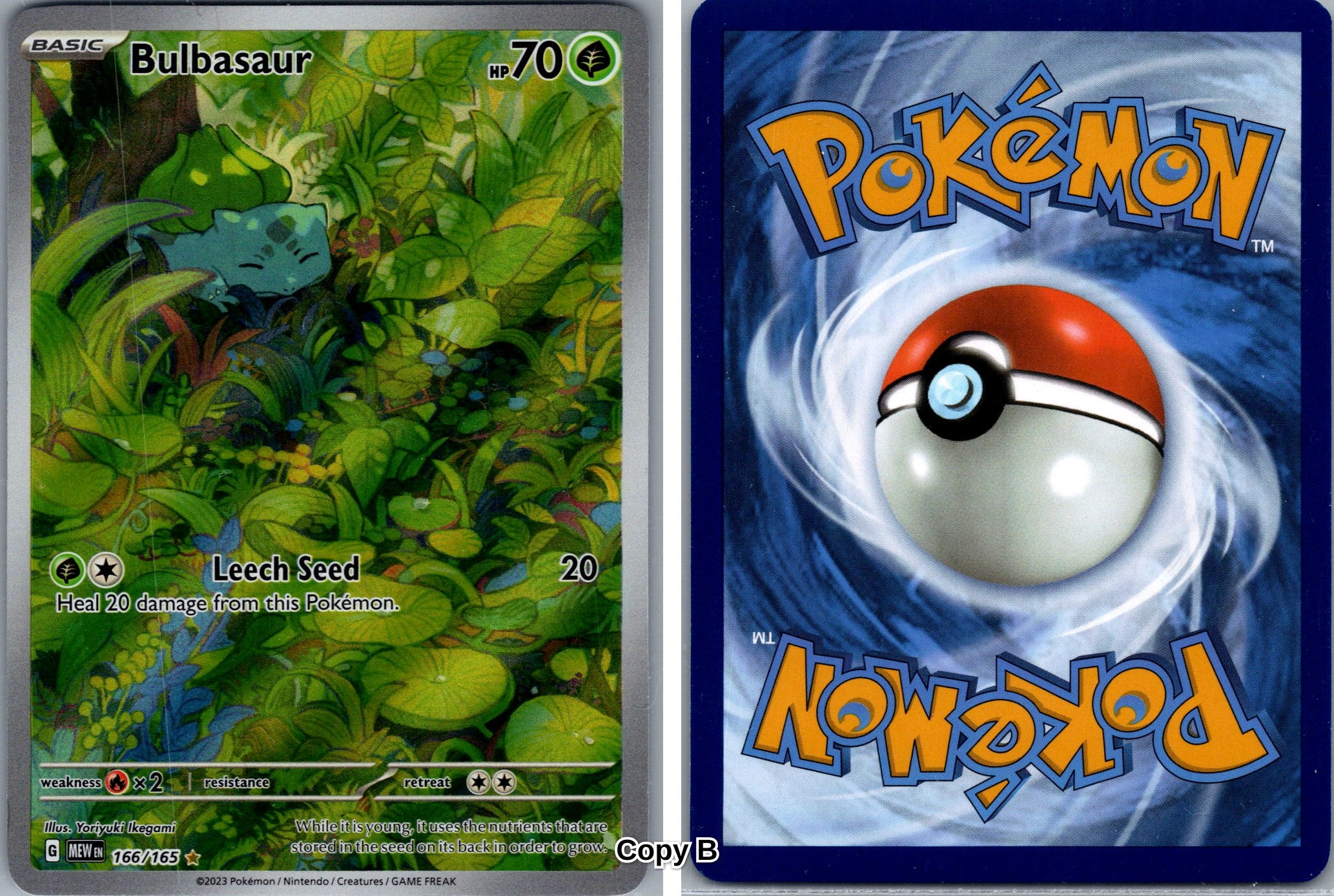 Front + Back scan
