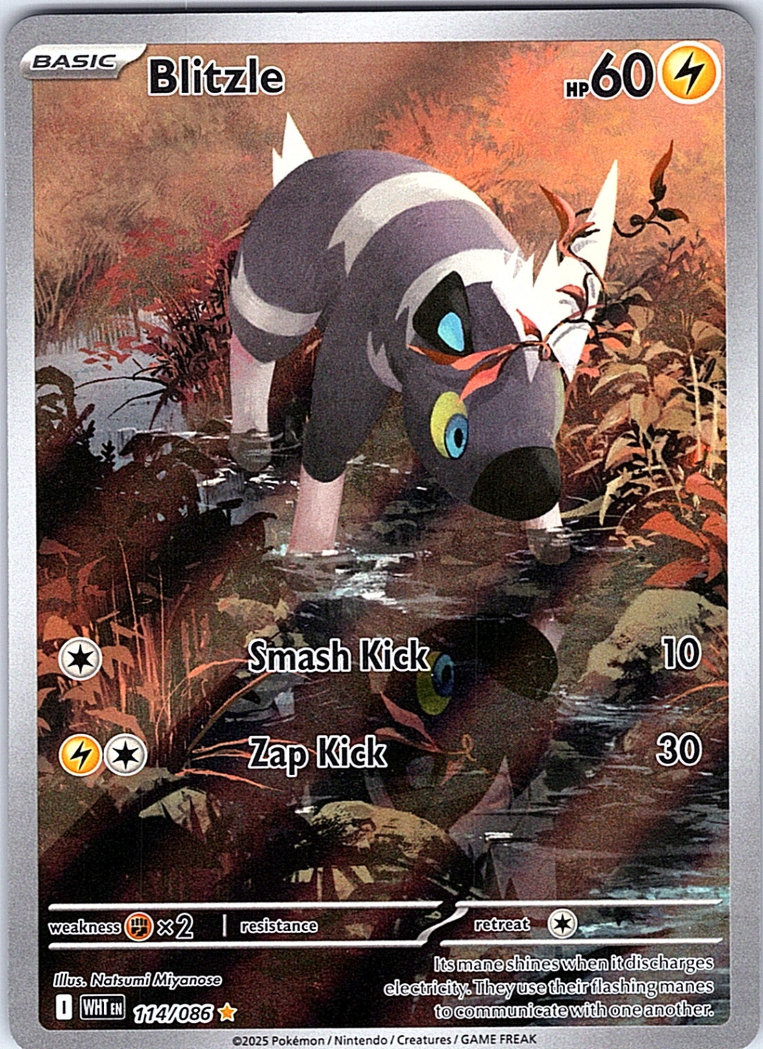 Blitzle Illustration Rare SV: White Flare 114/086 NM
