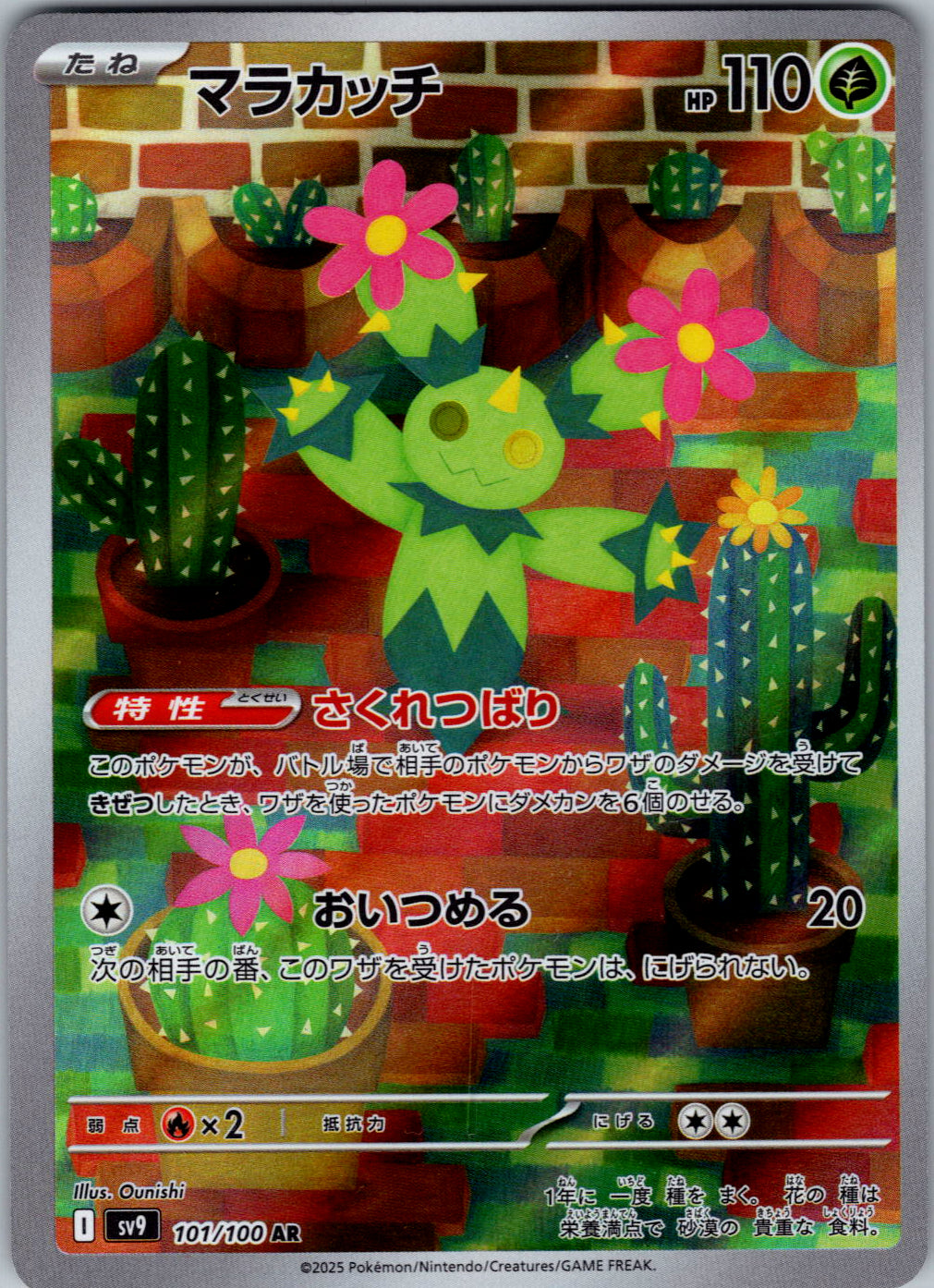 Maractus - 101/100