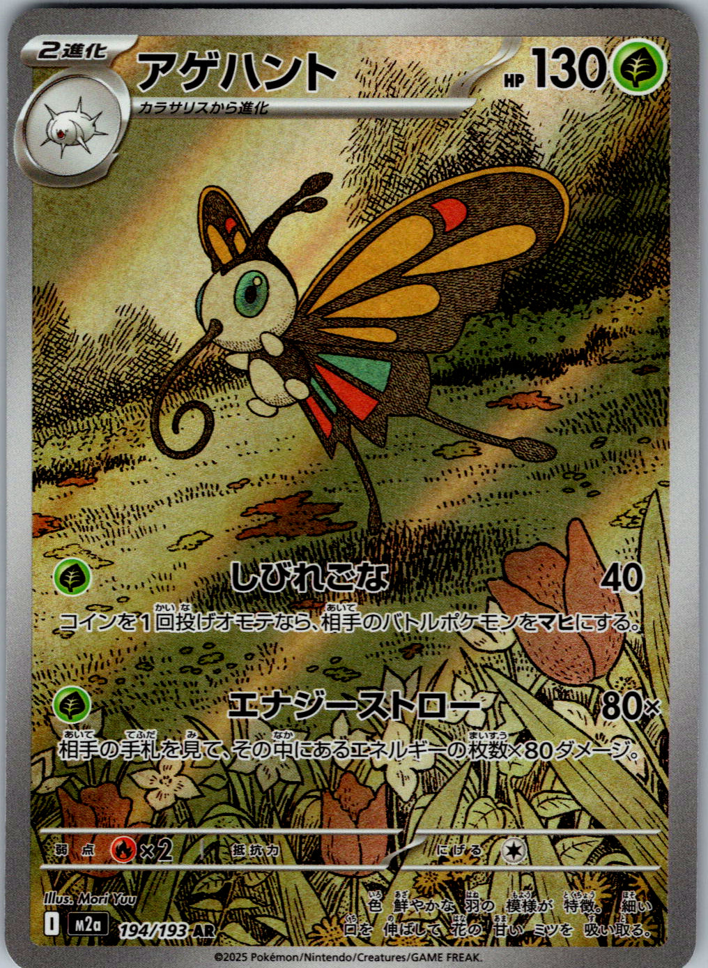 Beautifly - 194/193