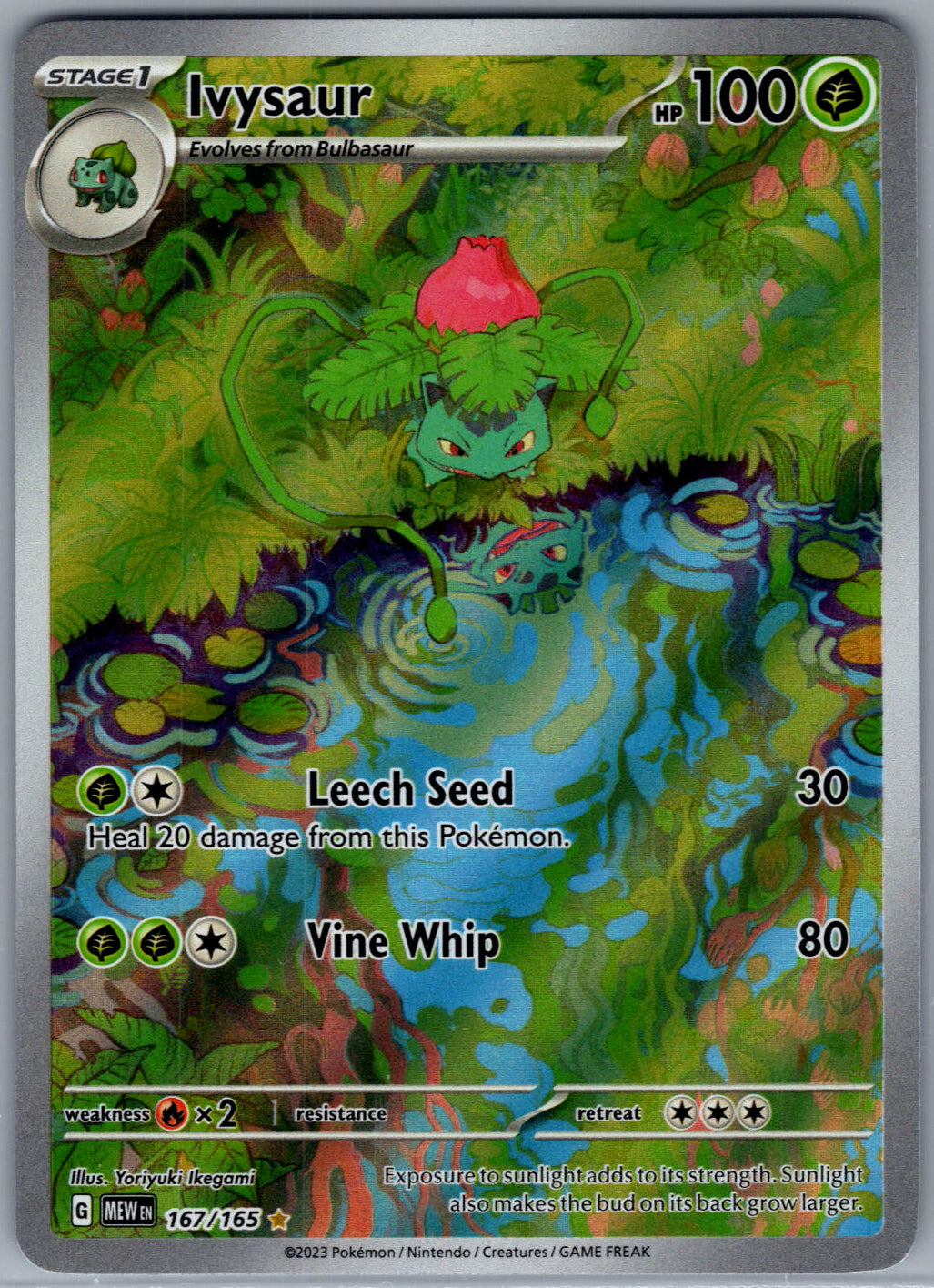 Ivysaur - 167/165