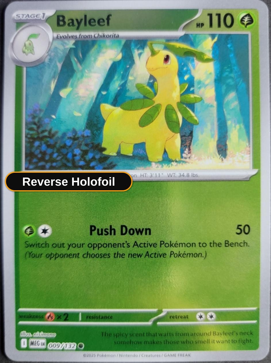 Bayleef