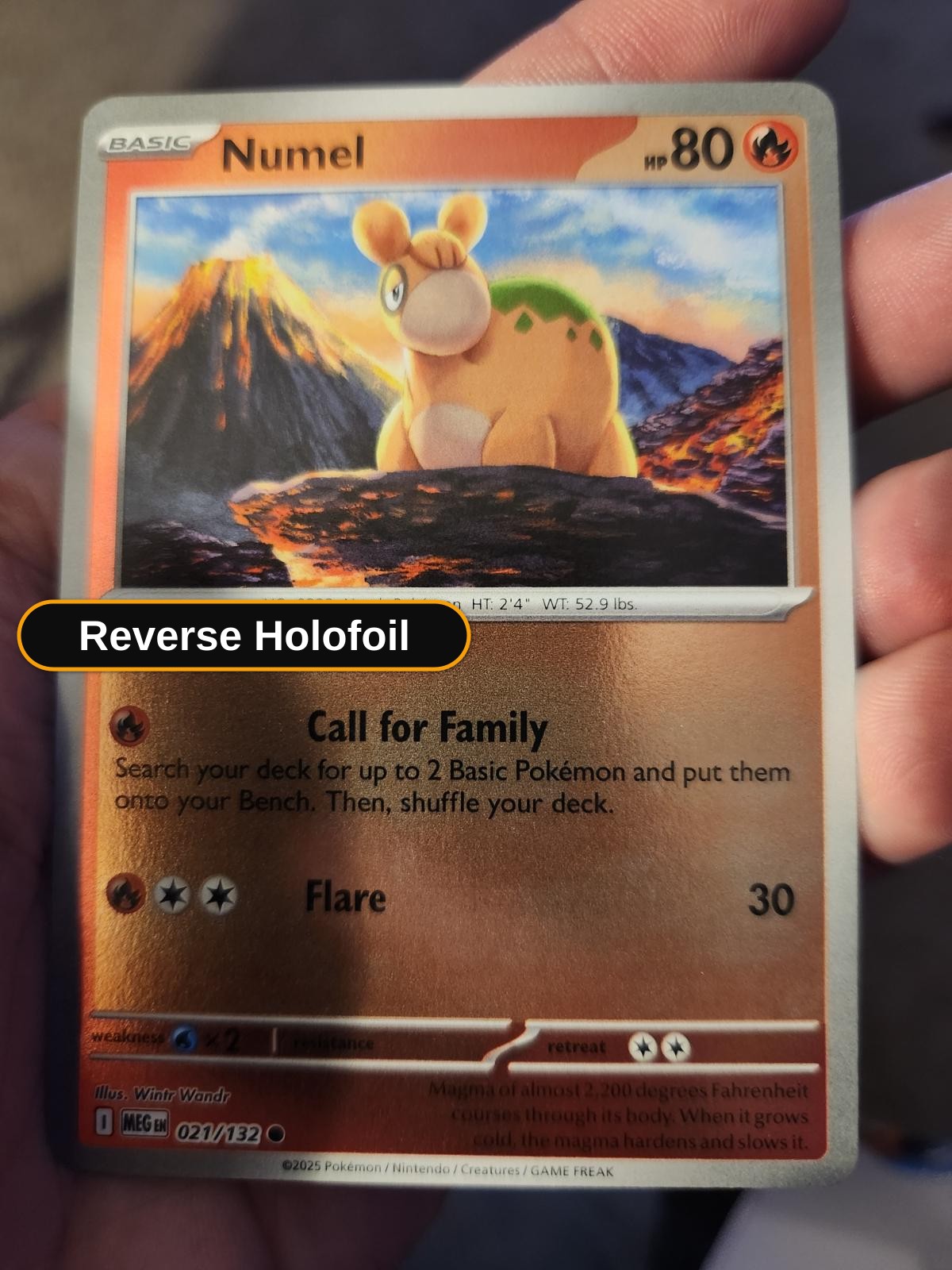 Numel