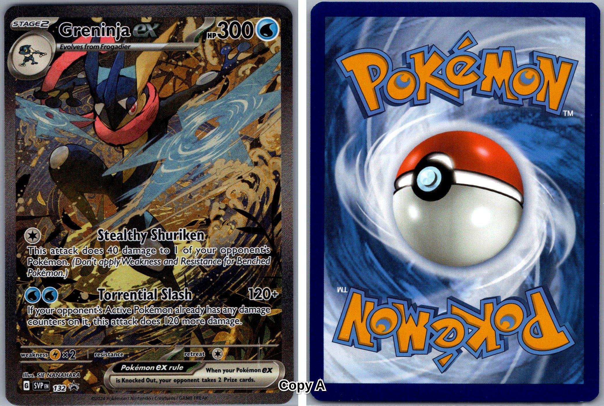 Front + Back scan