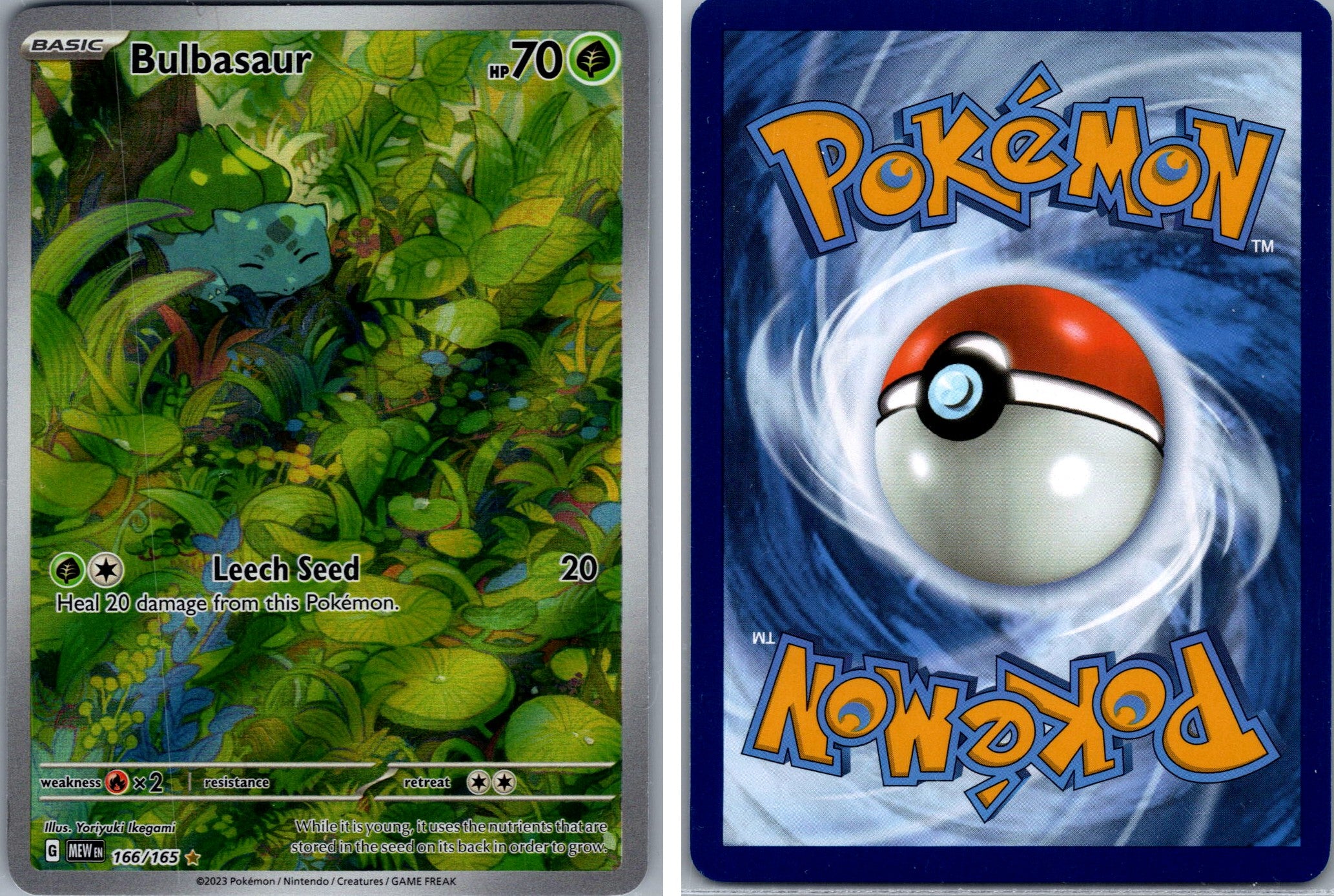Front + Back scan