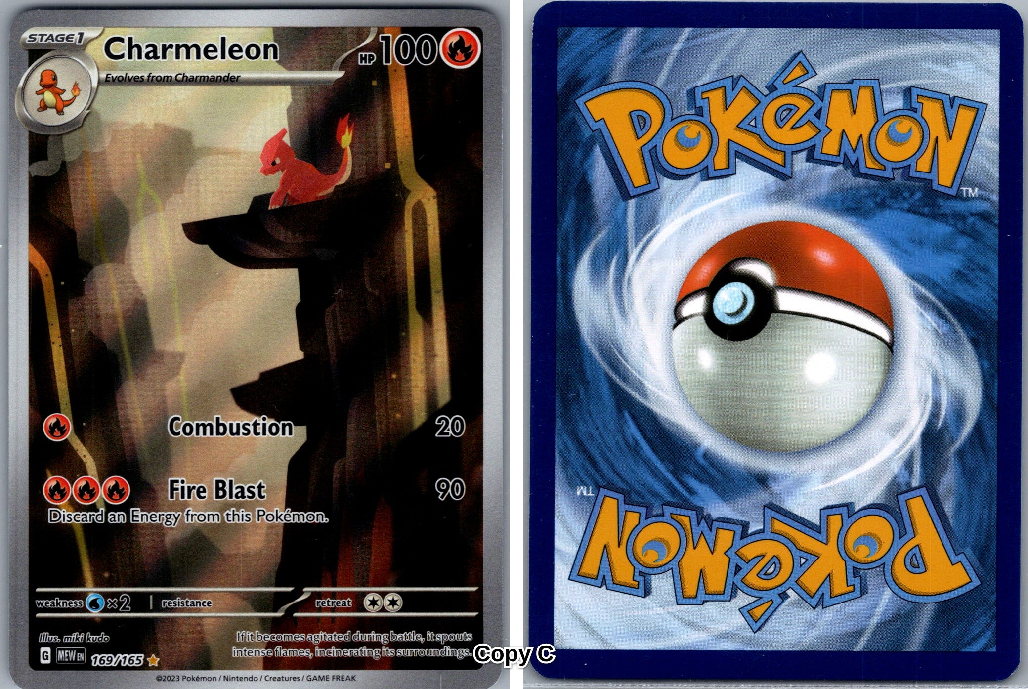 Front + Back scan