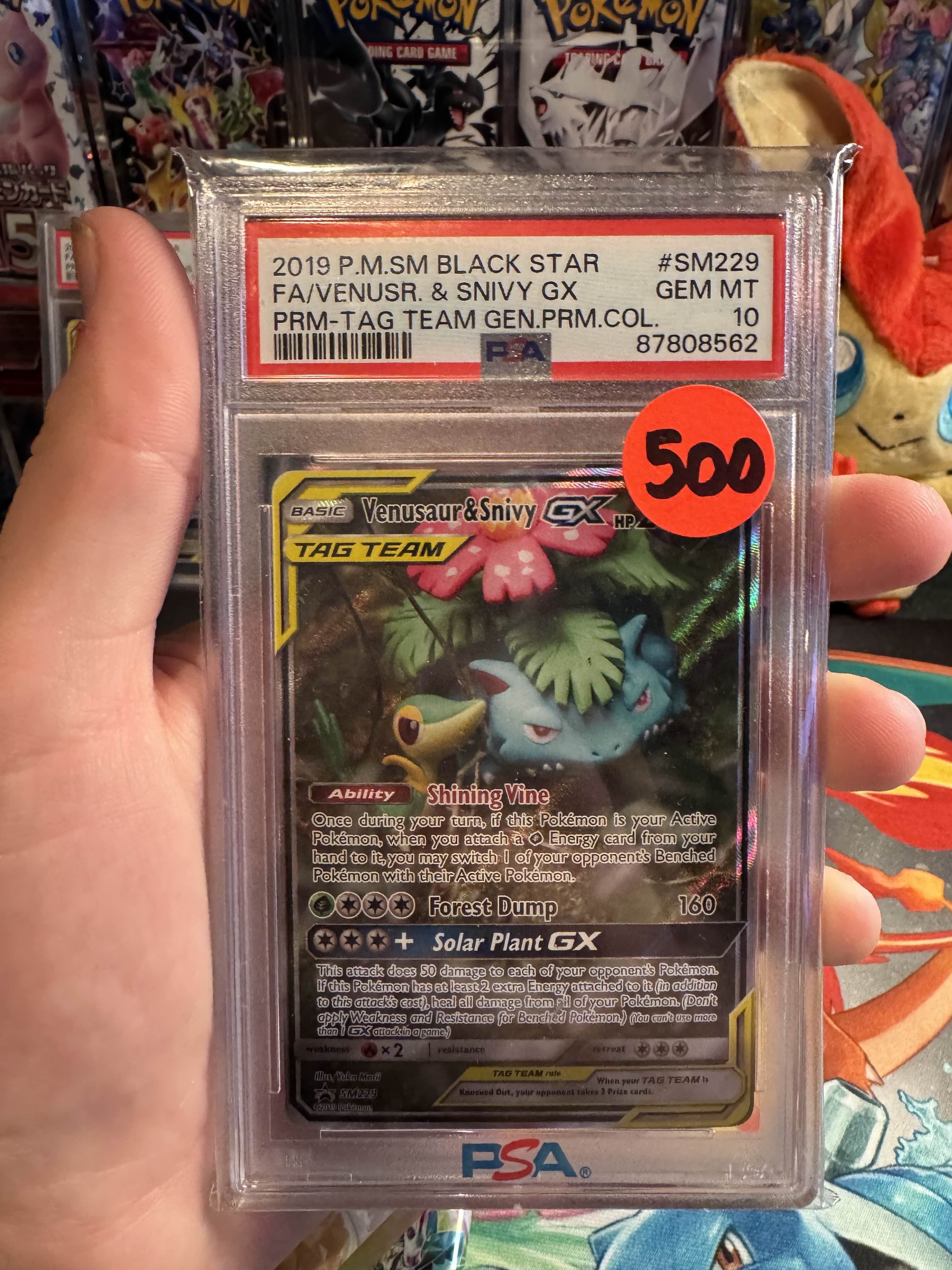 Venusaur & Snivy GX SM229