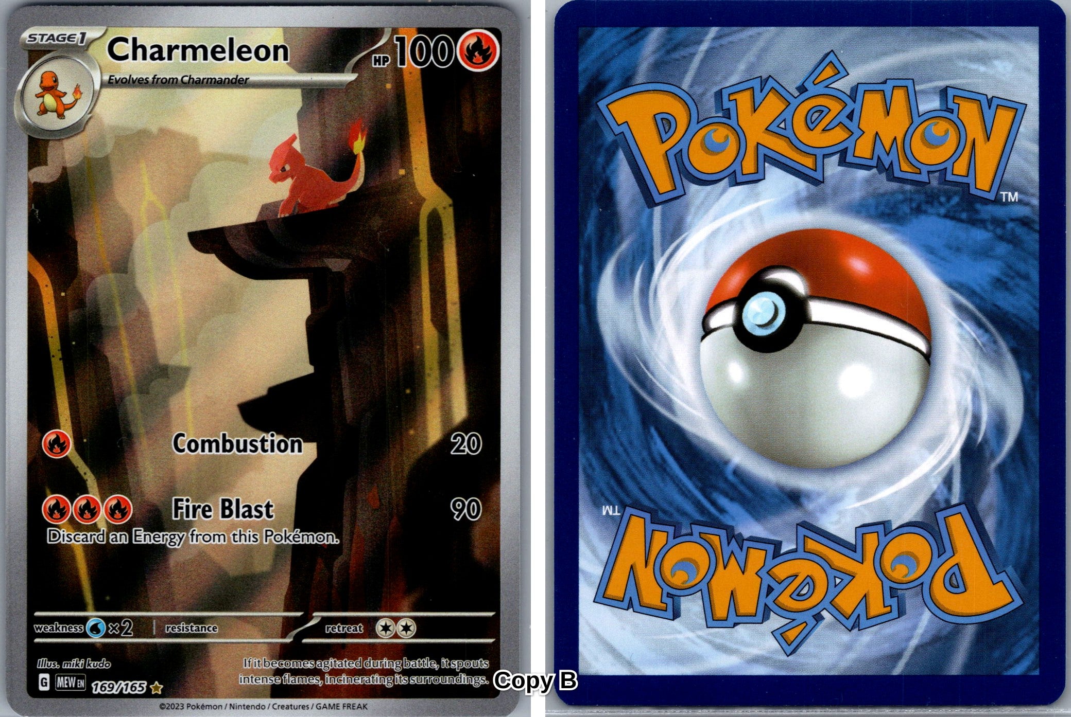 Front + Back scan