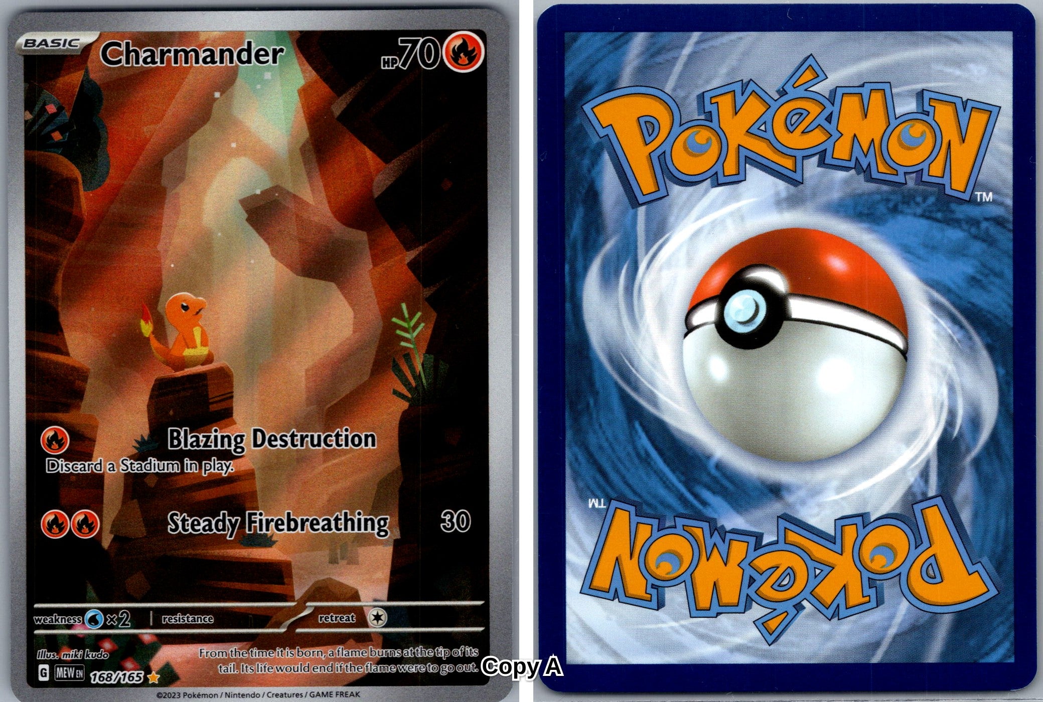 Front + Back scan