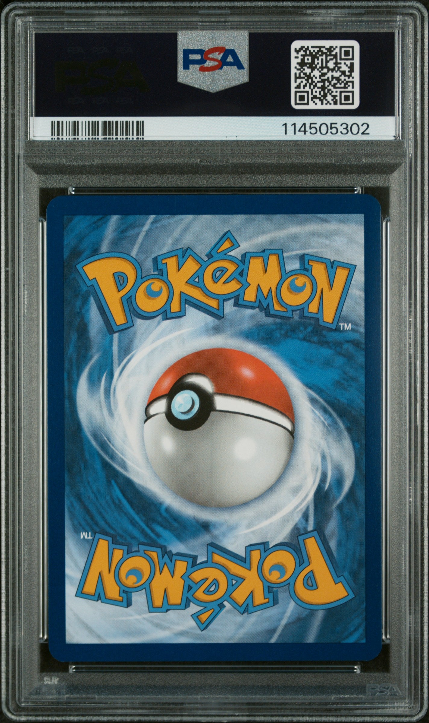 Phanpy Illustration Rare Pokemon Ssp En-Surging Sparks 205 PSA 10 (Back)