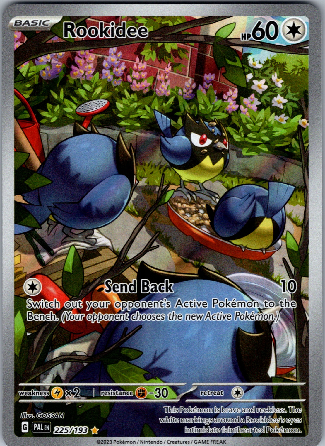 Rookidee Illustration Rare SV02: Paldea Evolved 225/193 NM