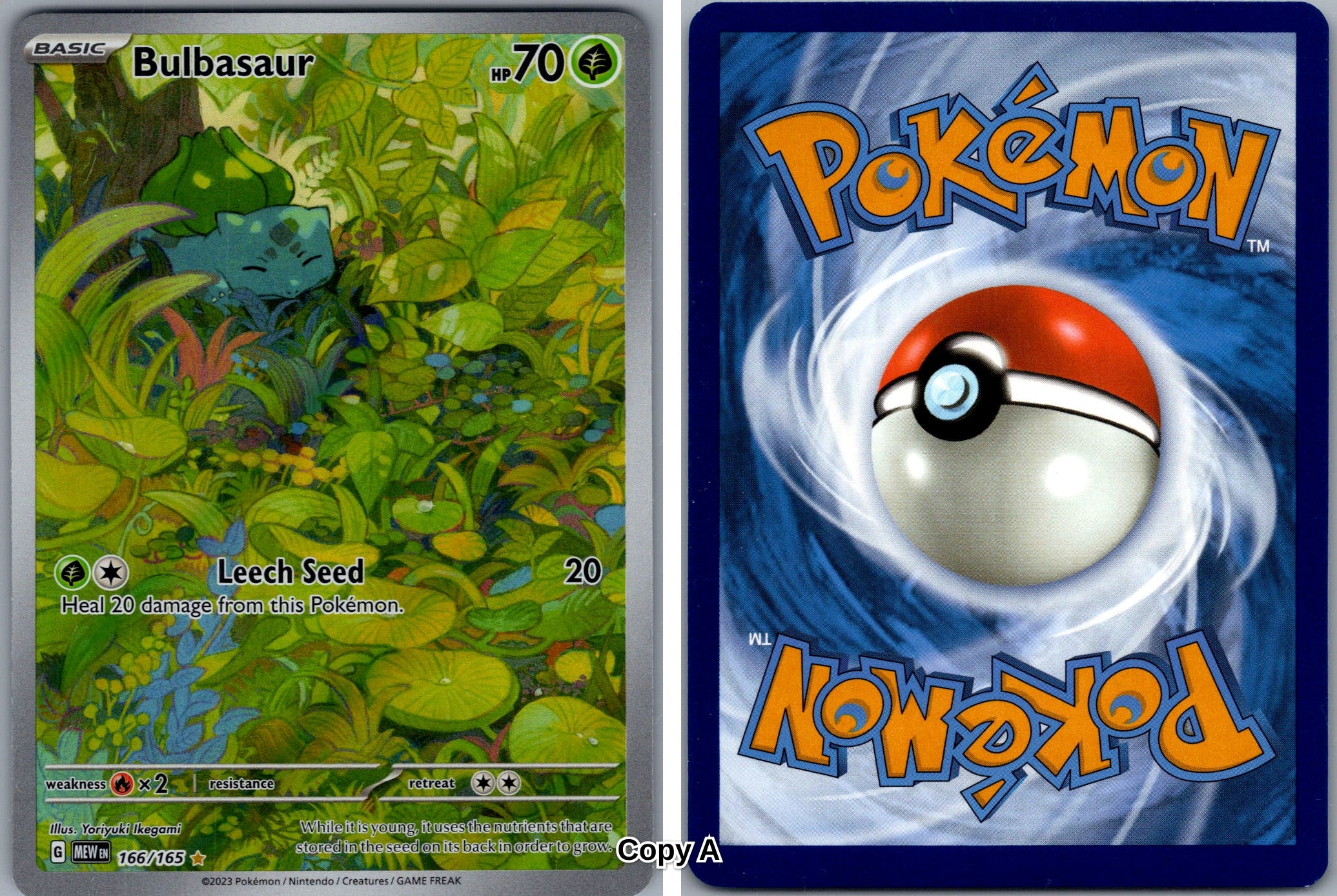 Front + Back scan