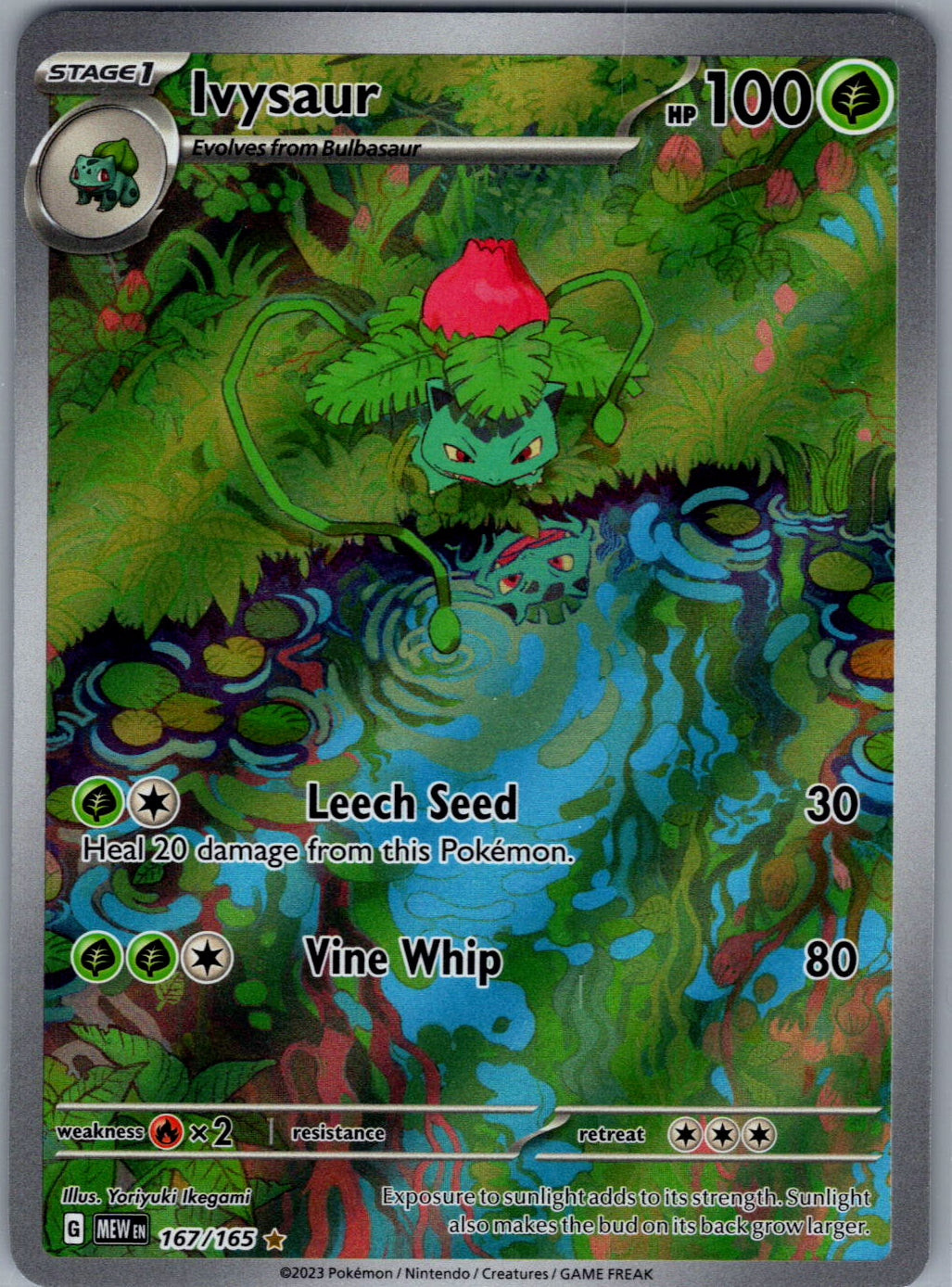 Ivysaur - 167/165