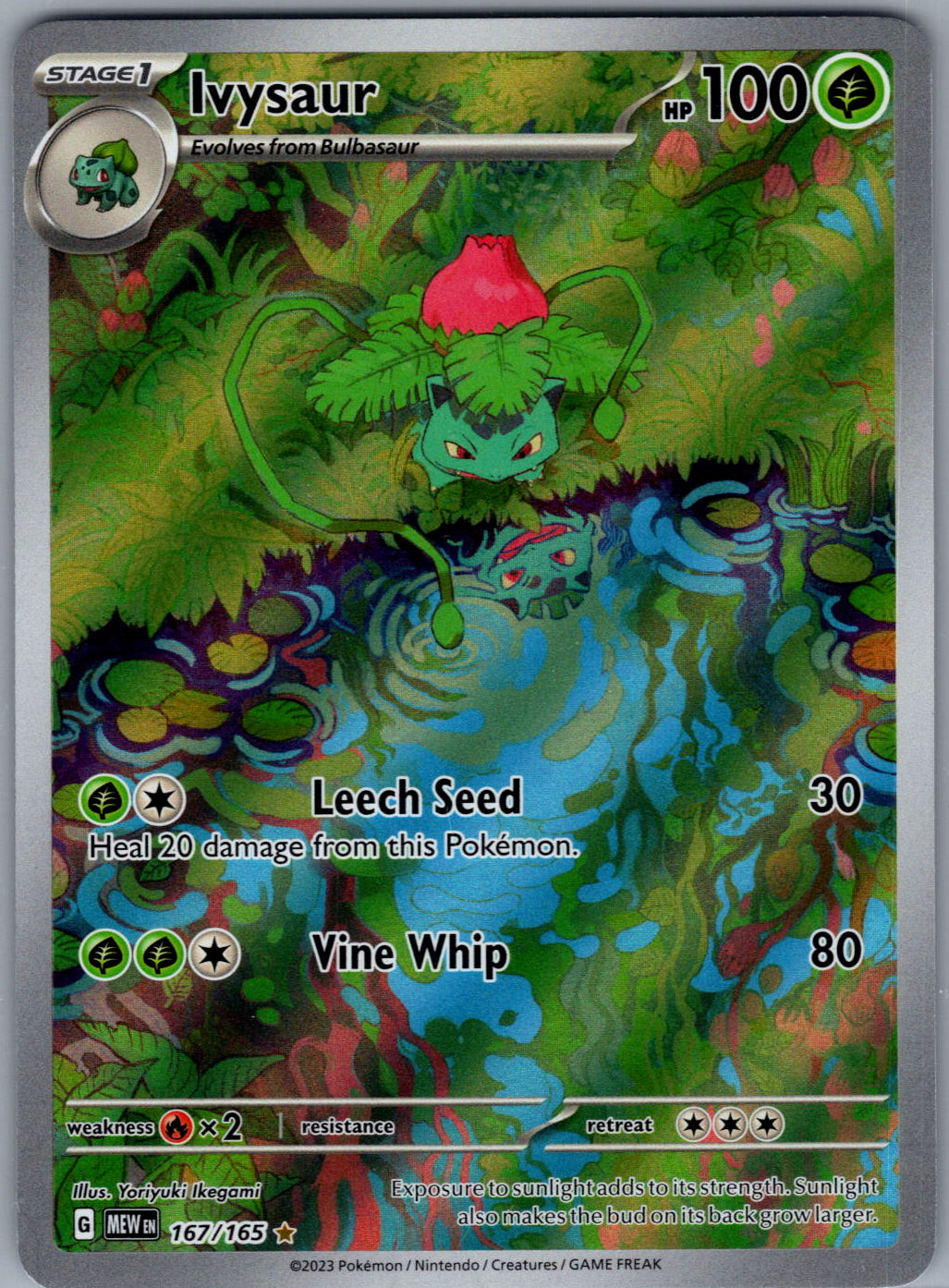 Ivysaur - 167/165