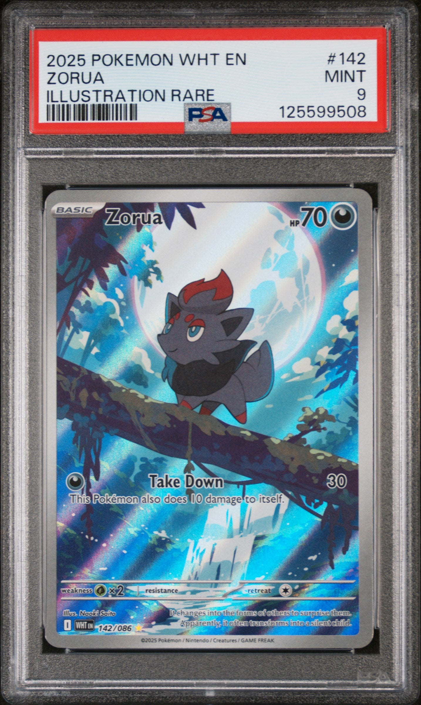 Zorua Illustration Rare Pokemon Wht En-White Flare 142 PSA 9